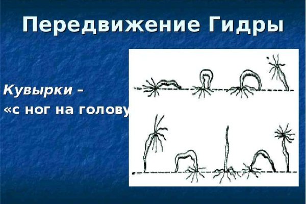 Kraken tor ссылка kraken014 com